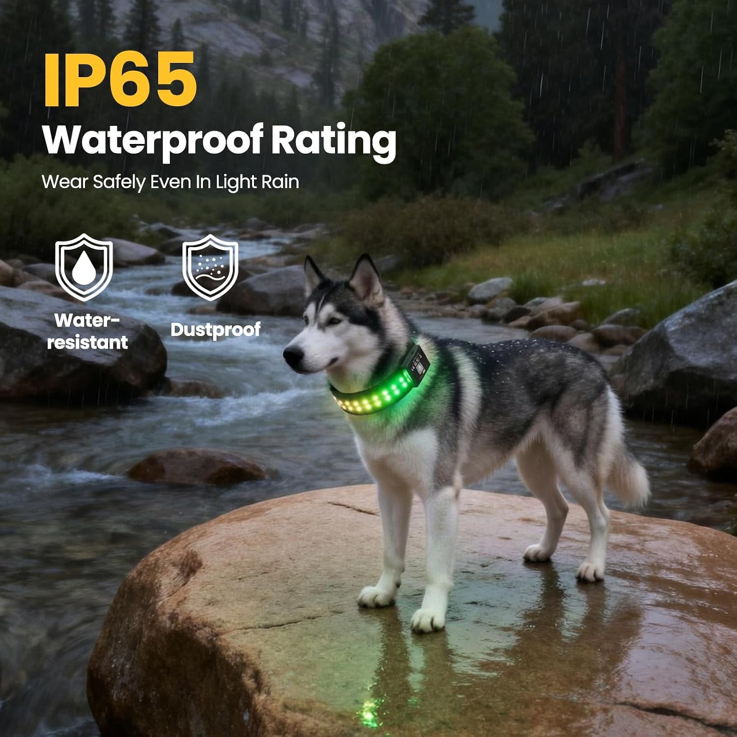 UNISE Customizable LED Dog Collar: RGB Color Changing Light up Dog Collar, 20+ Lighting Modes & Adjustable Brightness for Night Safety, IP65 Waterproof, App Controlled, Fits Small Medium Large Dogs