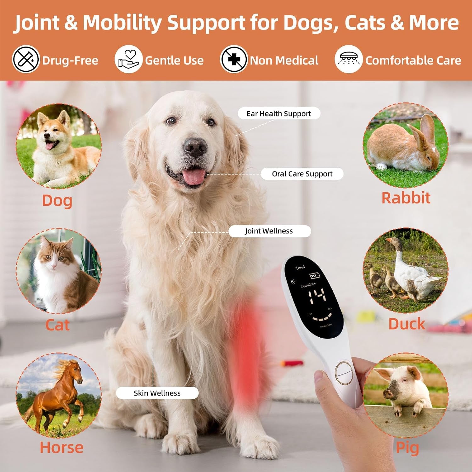Cold Laser Therapy Device – Low Level Laser Therapy (LLLT) Wand 3X808Nm + 18X650Nm, Handheld Red & Infrared Light Therapy for Humans & Pets – Red Light Therapy for Dogs & Cats, Joint & Muscle Relief