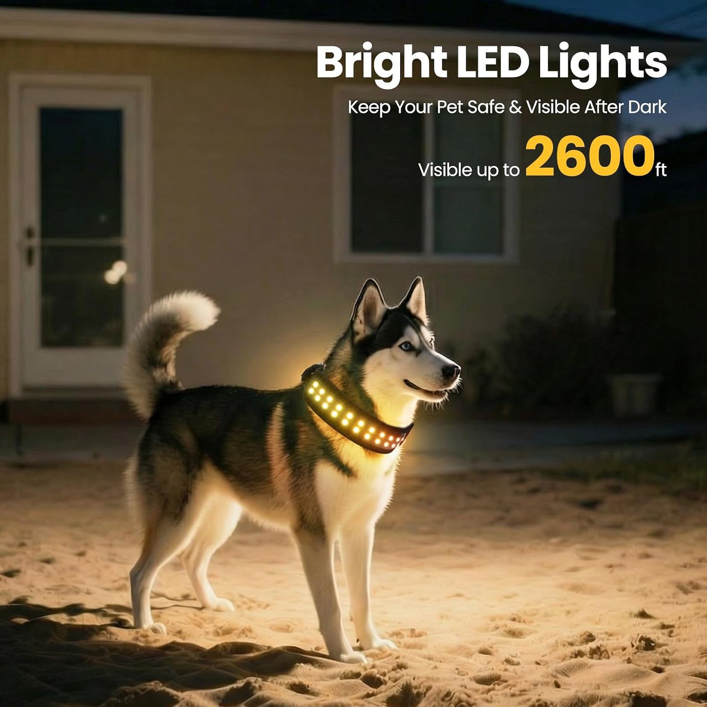 UNISE Customizable LED Dog Collar: RGB Color Changing Light up Dog Collar, 20+ Lighting Modes & Adjustable Brightness for Night Safety, IP65 Waterproof, App Controlled, Fits Small Medium Large Dogs