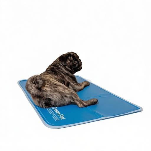 Essential Selects blue pressure-activated self-cooling gel pet pad with a pug resting comfortably on top.