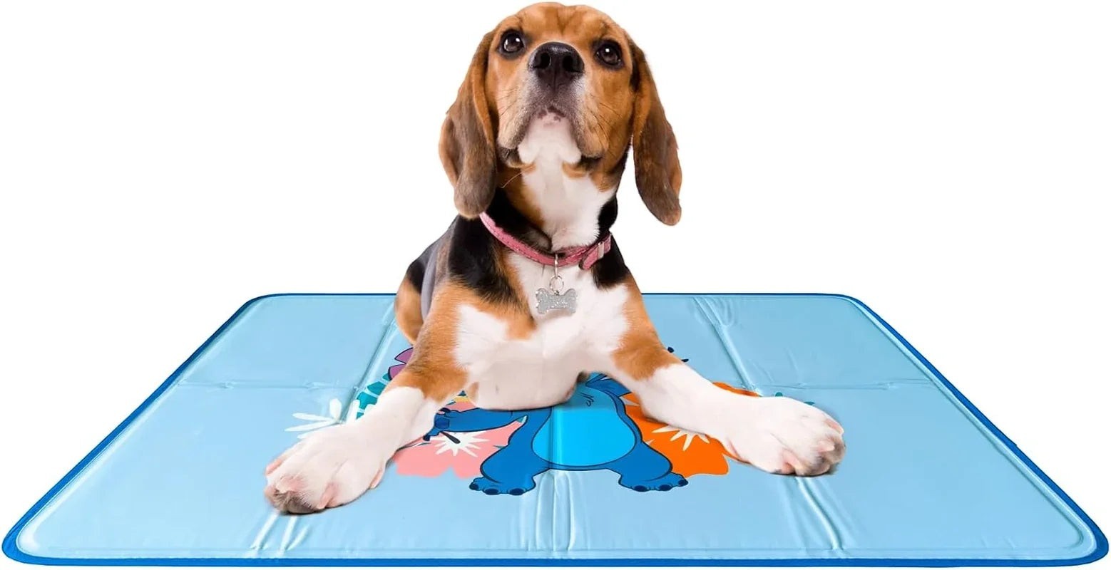 Essential Selects blue self-cooling gel pet pad with a beagle dog resting comfortably on top