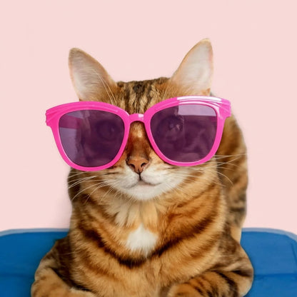 Essential Selects blue self-cooling gel pet pad with a tabby cat wearing bright pink sunglasses on a pink background