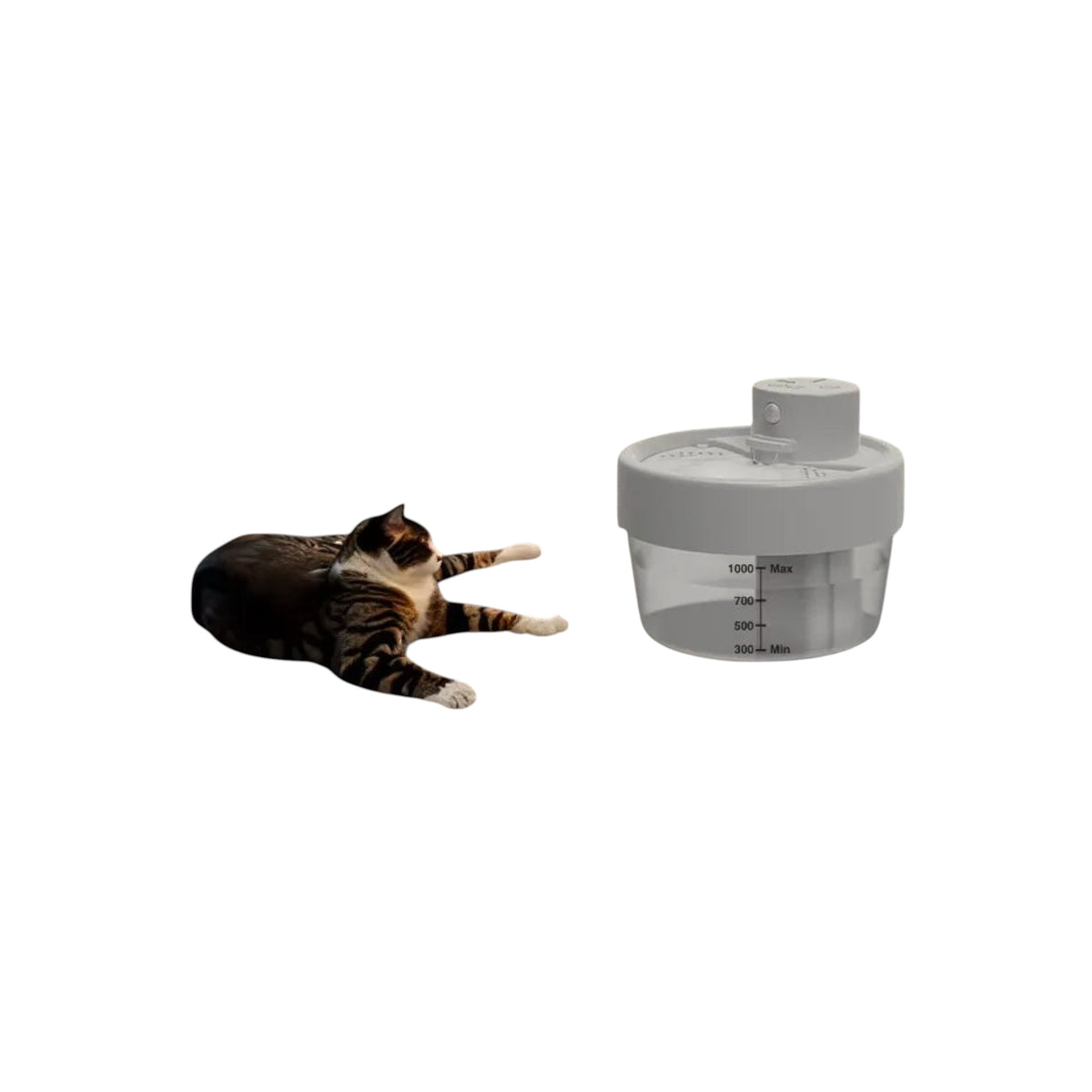 Essential Selects Charkool white rechargeable automatic cat water fountain with a cat resting beside it