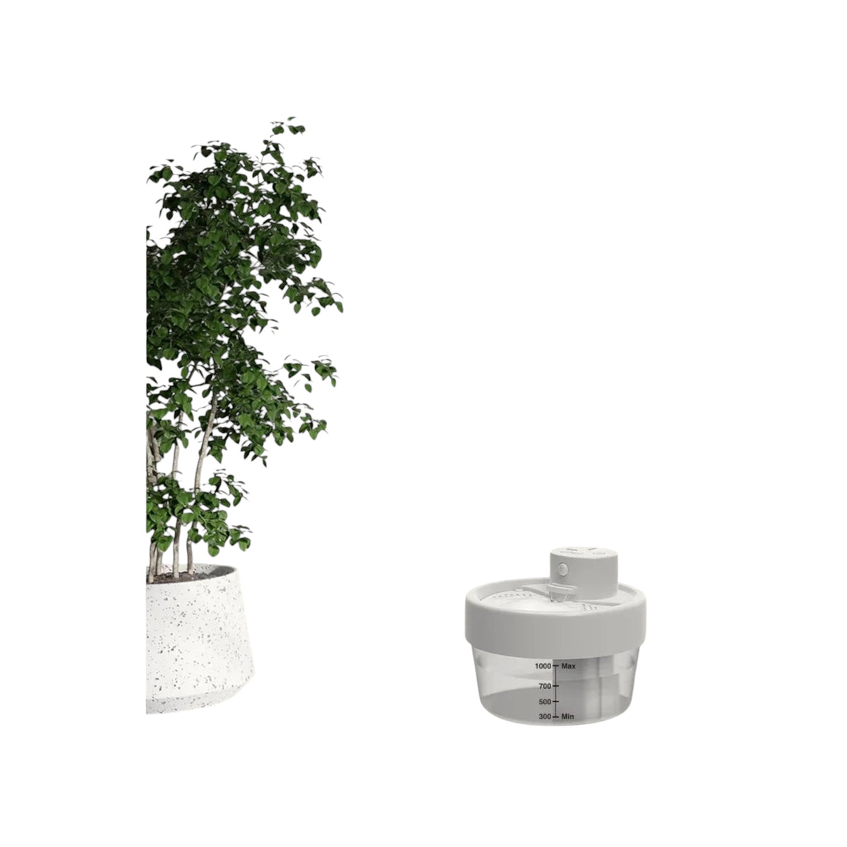 Essential Selects Charkool white rechargeable 1L cat water fountain with filtration system next to a potted plant