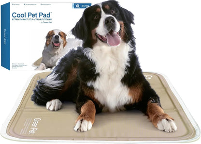Essential Selects self-cooling gel pet pad with a Bernese Mountain Dog resting comfortably on the beige surface