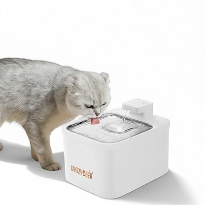 Essential Selects CrazyDeer white wireless pet water fountain with stainless steel top being used by a cat