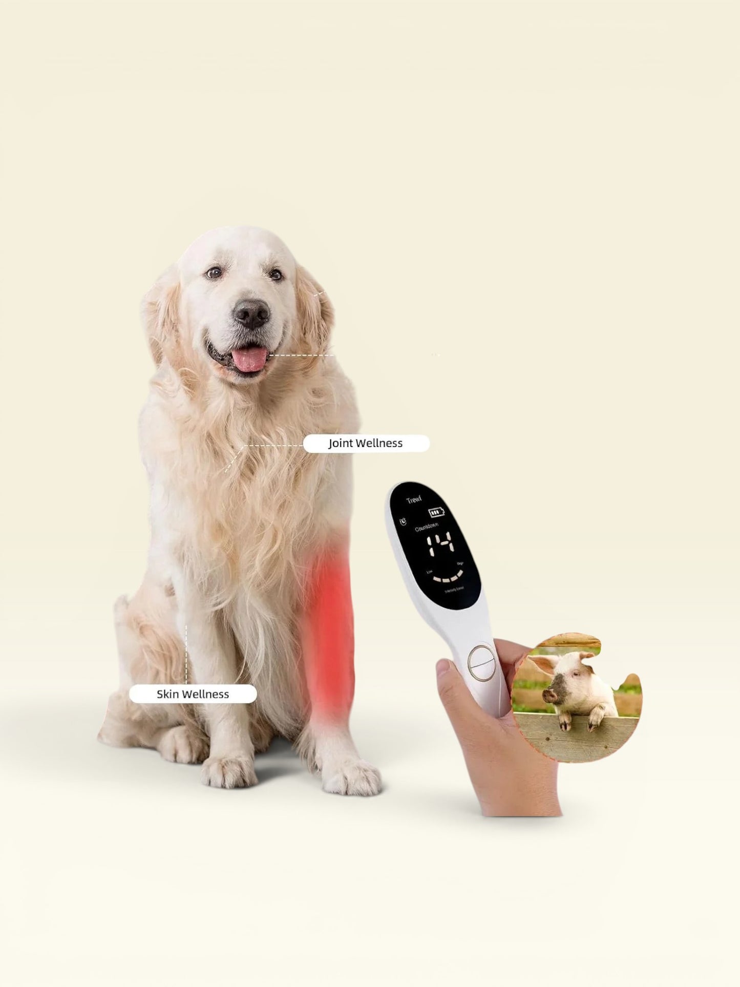Essential Selects handheld red light therapy device used for joint and skin wellness on a dog, cat, rabbit, and horse.