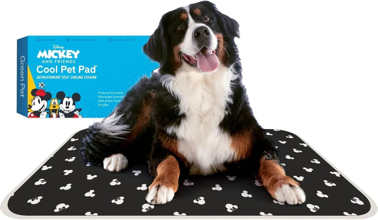 Essential Selects self-cooling gel pet pad with Mickey Mouse pattern, featuring a Bernese Mountain Dog resting on it.