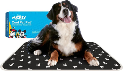 Essential Selects self-cooling gel pet pad with Mickey Mouse pattern, featuring a Bernese Mountain Dog resting on it.