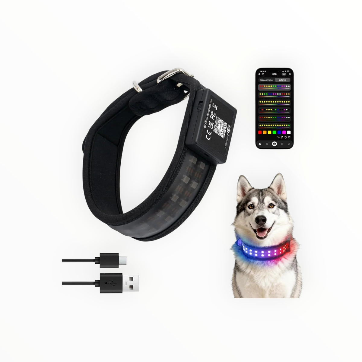 Essential Selects black nylon LED dog collar with app control, shown on a husky with a smartphone interface display.