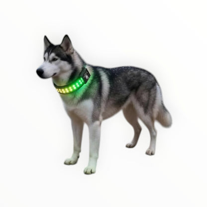 Essential Selects RGB LED dog collar on a husky standing on a wet rock by a stream, showing IP65 waterproof rating