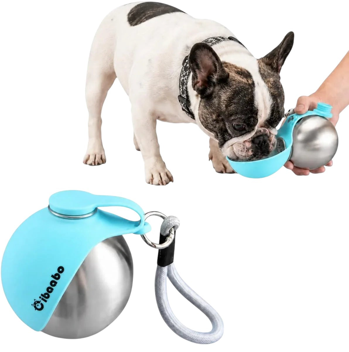 Essential Selects portable stainless steel dog water bottle with blue silicone bowl being used by a French Bulldog