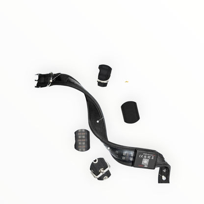 Essential Selects black waterproof LED dog collar with metal D-ring, diving fabric lining, and adjustable buckle.